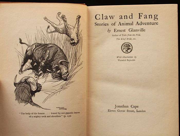 CLAW AND FANG - STORIES OF ANIMAL ADVENTURE - ERNEST GLANVILLE (1923)