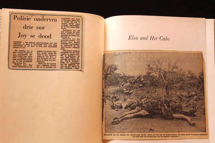 ELSA AND HER CUBS - JOY ADAMSON (1965)