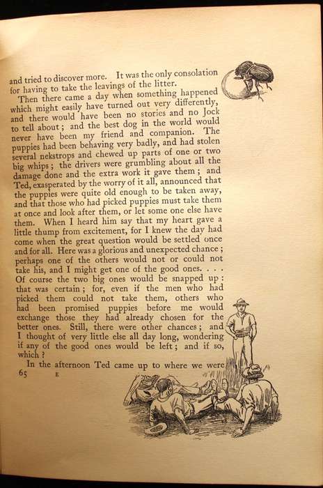 JOCK OF THE BUSHVELD by Percy Fitzpatrick 3rd. impression (1907) WITH ALL THE INCORRECT DUNG BEETLES