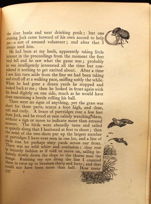 JOCK OF THE BUSHVELD by Percy Fitzpatrick 3rd. impression (1907) WITH ALL THE INCORRECT DUNG BEETLES