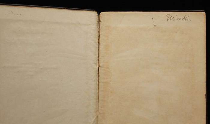 WOMAN'S ENDURANCE (1904) - A DIARY OF LIFE IN ONE OF THE CONCENTRATION CAMPS DURING THE BOER WAR