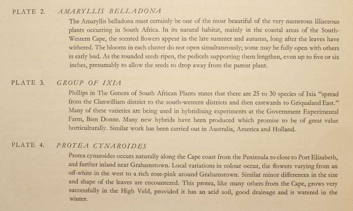 THE LADY OF THE CAPE FLOWERS - ARABELLA ROUPELL, ALLAN BIRD (TEXT) - 12 PLATES