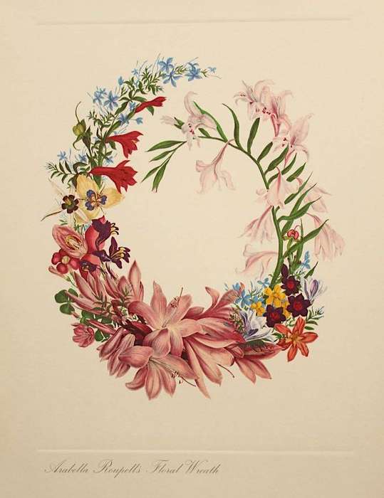 THE LADY OF THE CAPE FLOWERS - ARABELLA ROUPELL, ALLAN BIRD (TEXT) - 12 PLATES