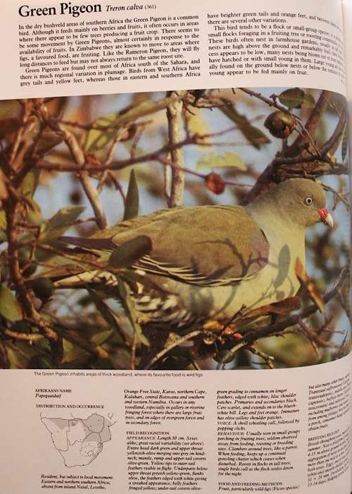 THE COMPLETE BOOK OF SOUTHERN AFRICAN BIRDS (1989) - COLLECTORS' EDITION