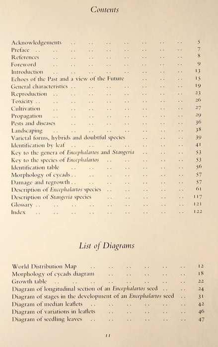 CYCADS OF SOUTH AFRICA - CYNTHIA GIDDY (1974) - FIRST EDITION