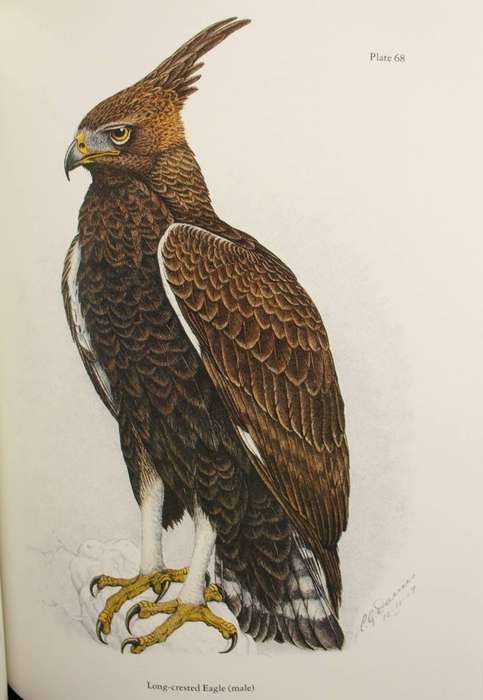 THE BIRDS OF SOUTHERN AFRICA - CLAUDE GIBNEY FINCH-DAVIES (1982) - DE LUXE COLLECTOR'S EDITION