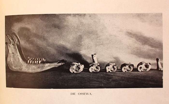 GEDENKBOEK VAN DIE OSSEWATREK 1838-1938 - D. MOSTERT (met oorspronklike glipkassie!)