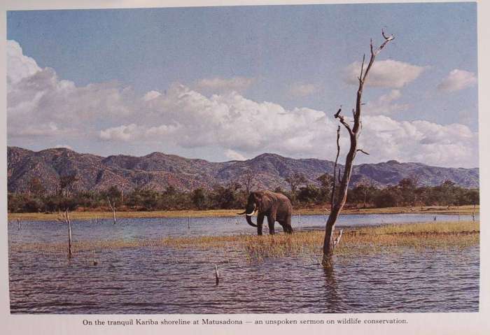 WILD PLACES OF ZIMBABWE - DICK PITMAN (1980)