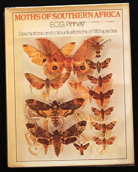 MOTHS OF SOUTHERN AFRICA - E.C.G. PINHEY (1975)