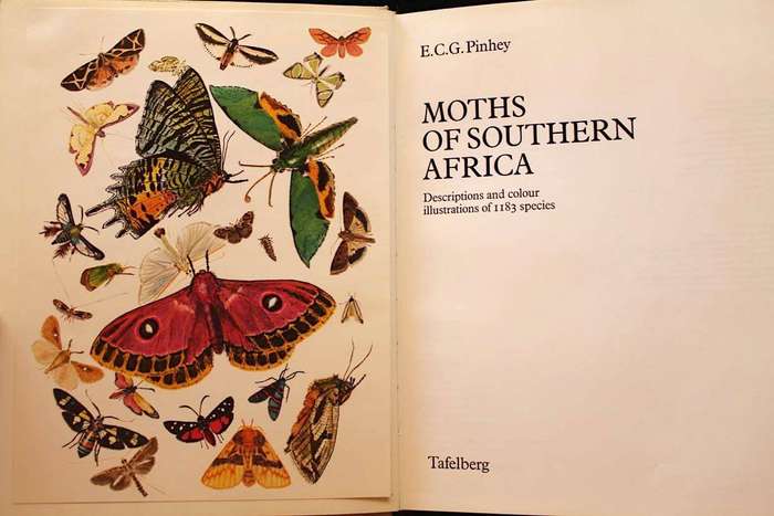 MOTHS OF SOUTHERN AFRICA - E.C.G. PINHEY (1975)