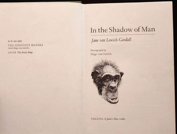 IN THE SHADOW OF MAN - JANE GOODALL (1971)