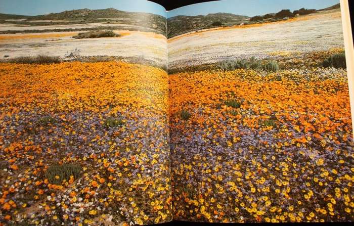 NAMAQUALAND : GARDEN OF THE GODS - FREEMAN PATTERSON (1984) - SIGNED