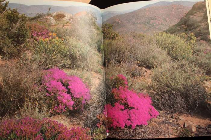 NAMAQUALAND : GARDEN OF THE GODS - FREEMAN PATTERSON (1984) - SIGNED