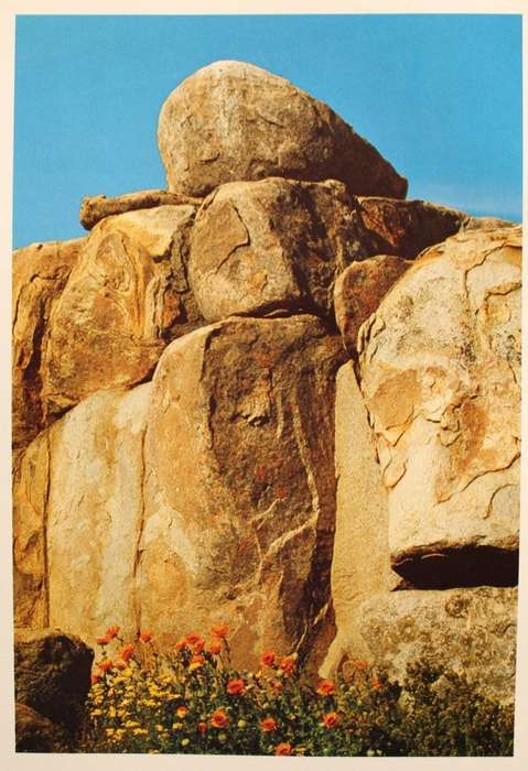 NAMAQUALAND : GARDEN OF THE GODS - FREEMAN PATTERSON (1984) - SIGNED