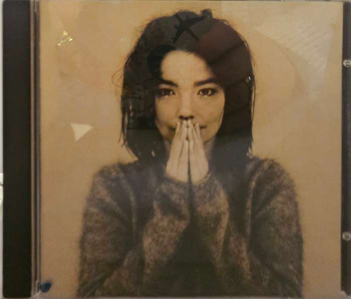 Bjork Debut  (4154)