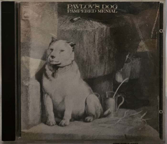 Pampered Menial Pavlov's Dog  (2670)