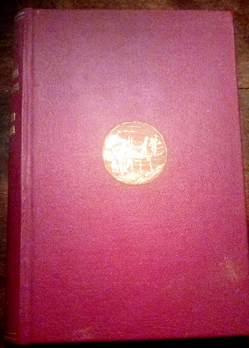 THE DIAMOND DIGGINGS OF SOUTH AFRICA (1872)
