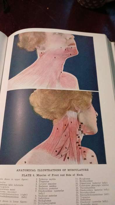 Encyclopedia Of Health And Physical Culture - eight volumes
