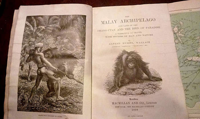 The Malay Archipelago (1898)