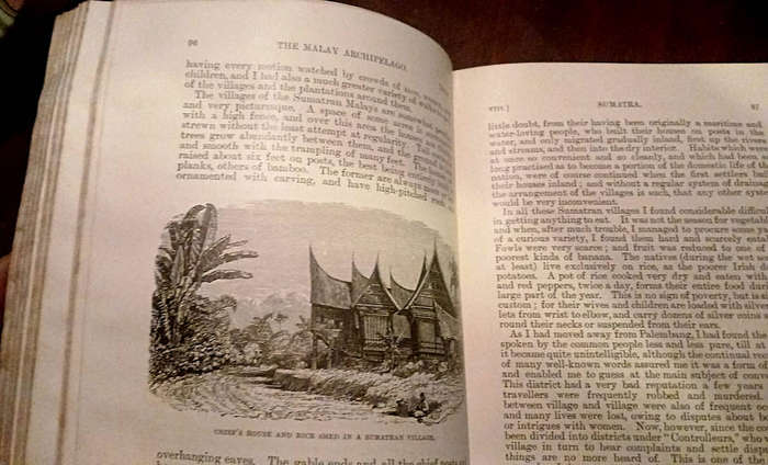 The Malay Archipelago (1898)