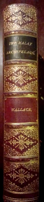 The Malay Archipelago (1898)