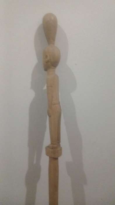 African Walking Stick