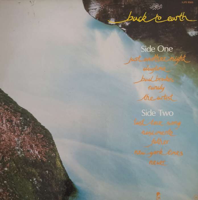 Vintage LP / Vinyl - Cat Stevens - Back to earth