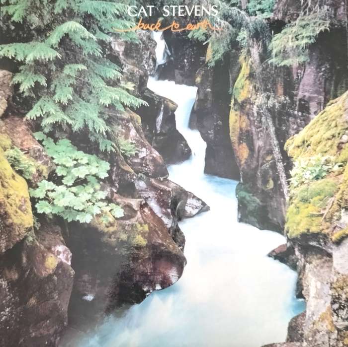 Vintage LP / Vinyl - Cat Stevens - Back to earth