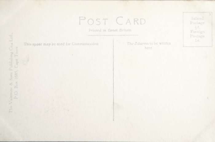 Vintage Post Card - Ostriches and Emus - Groete Schuur