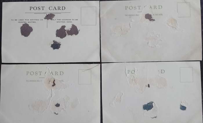 Dog racing art (4 x post cards)
