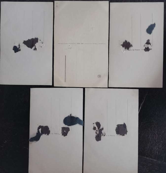 Cats on post cards (x 5)