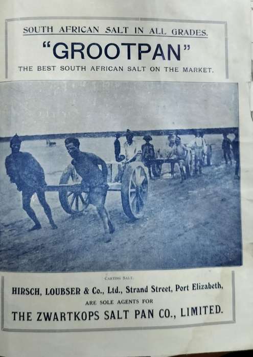 Port Elizabeth history - Hirsch Loubser - Rough goods  price list 1923 (17 pages)