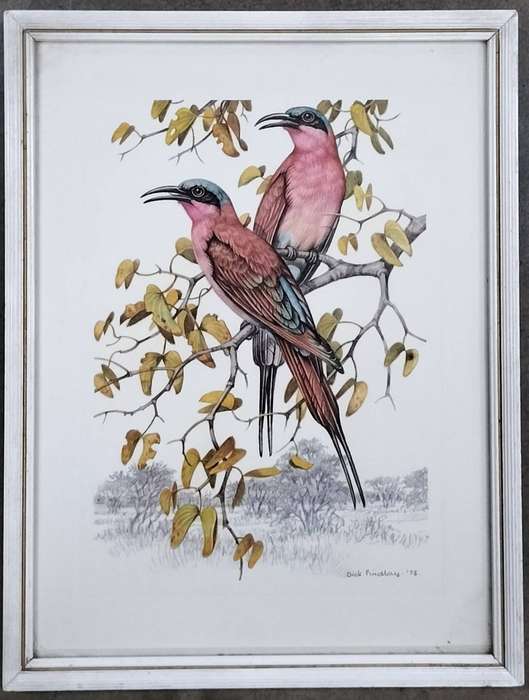 Vintage Dick Findlay bird print - framed 35,7 x 27cm