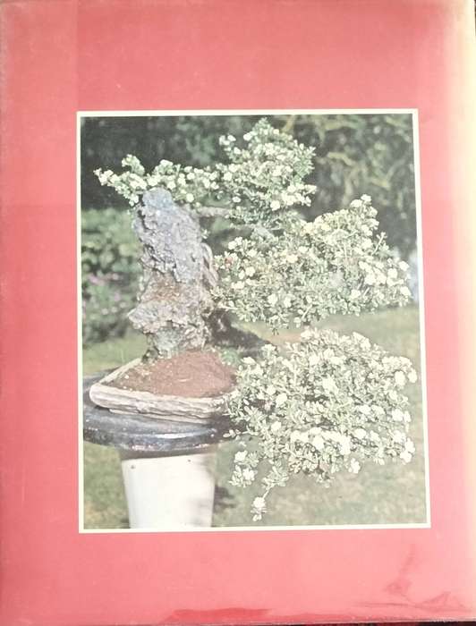 The South African Bonsai Book (Hall & Black - 1983)