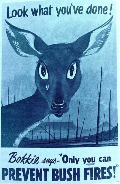 A Nature Conservationist looks back - Douglas Hey - Book signed by Author
