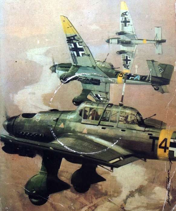 The Luftwaffe War Diaries - Illustrated - Cajus Bekker