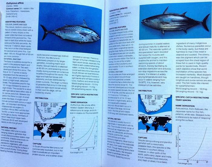 A Guide to The Common Sea Fishes of Southern Africa - Rudy Van Der Elst