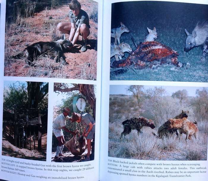 Hyena Nights and Kalahari Days - Gus and Margie Mills
