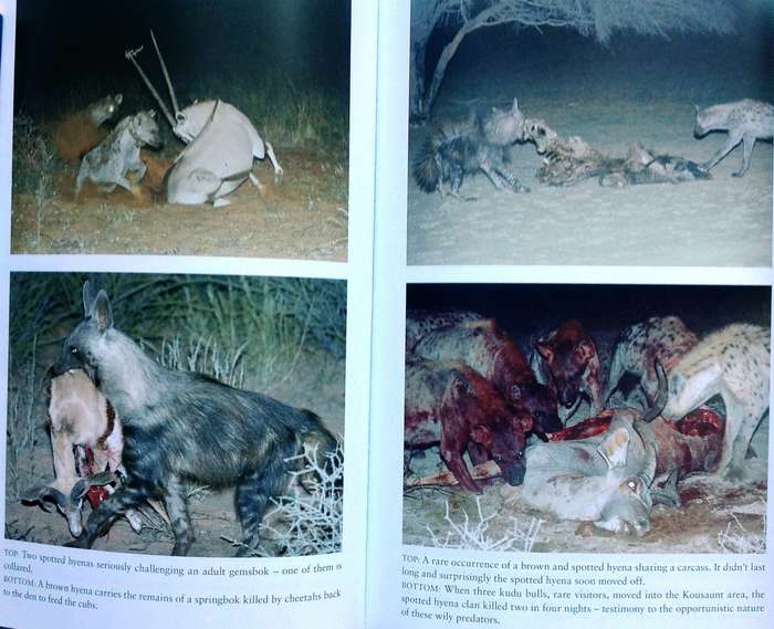 Hyena Nights and Kalahari Days - Gus and Margie Mills