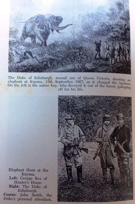 GEORGE REX of Knysna - Sanni Metelerkamp - The Authentic Story