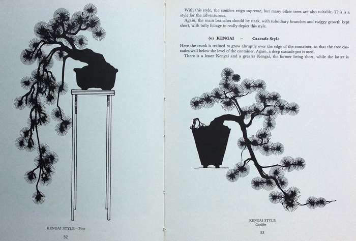The South African Bonsai Book - Doug Hall and Don Black - Hardcover