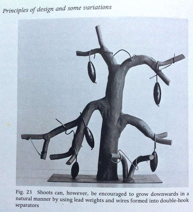 KAMUTI - A New Way in Bonsai - Willi E Bollmann - Hardcover