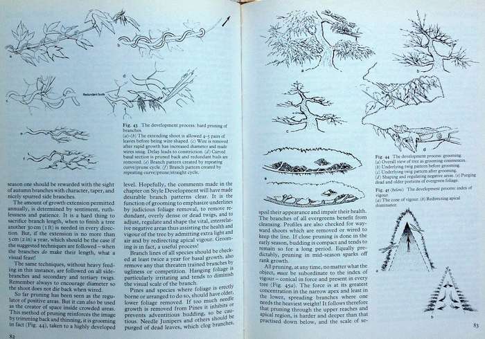 The Art of Bonsai - Peter D Adams - Hardcover