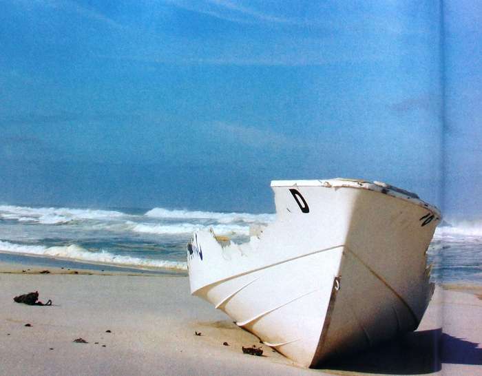 hope in thyme - A Journey along the coast of South Africa - David Grier - signed by Author