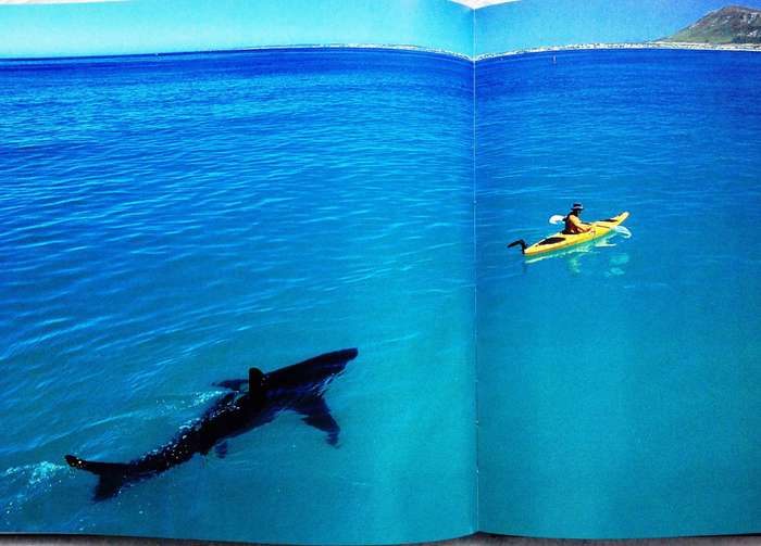 Wild Seas  Secret Shores of South Africa - Thomas P Peschak