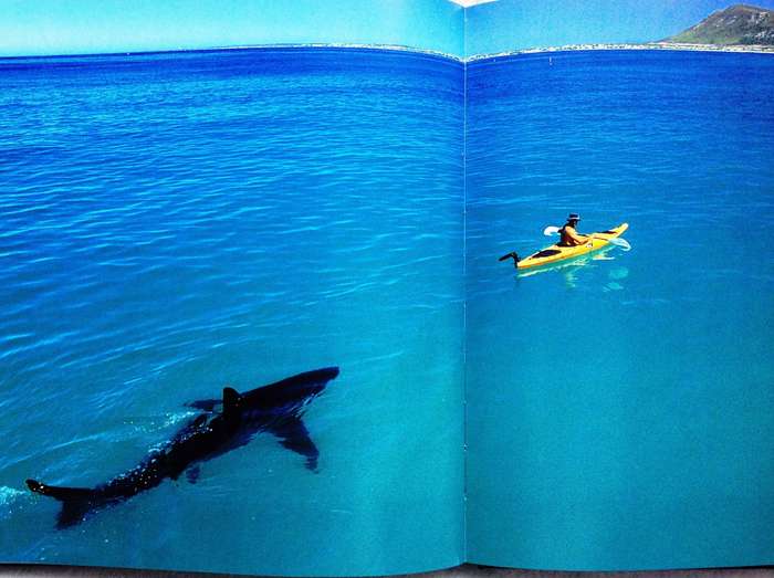 Wild Seas  Secret Shores of South Africa - Thomas P Peschak