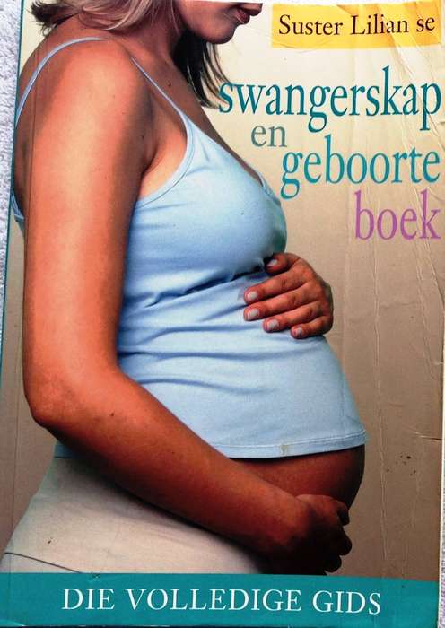 Suster Lilian se Swangerskap en Geboorte Boek - Die Volledige Gids