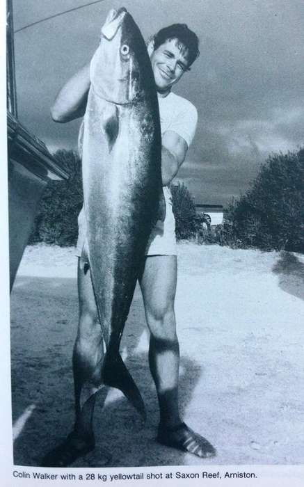 Diving and Spearfishing in South Africa - Piet van Rooyen - Hardcover (1988 First Edition)