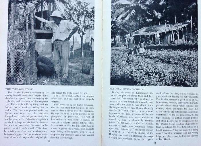 The Africa of Albert Schweitzer - Charles R Joy and Melvin Arnold - Hardcover