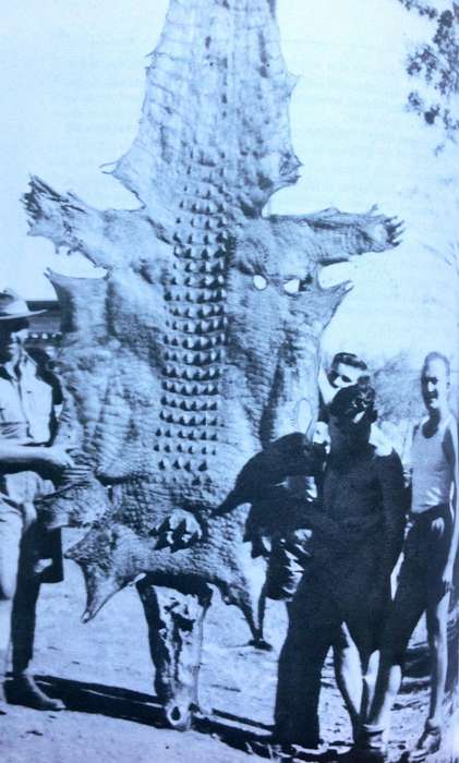 Curtin's Cowboys - Australia's Secret Bush Commandos (World War 2) - Richard Walker and Helen Walker